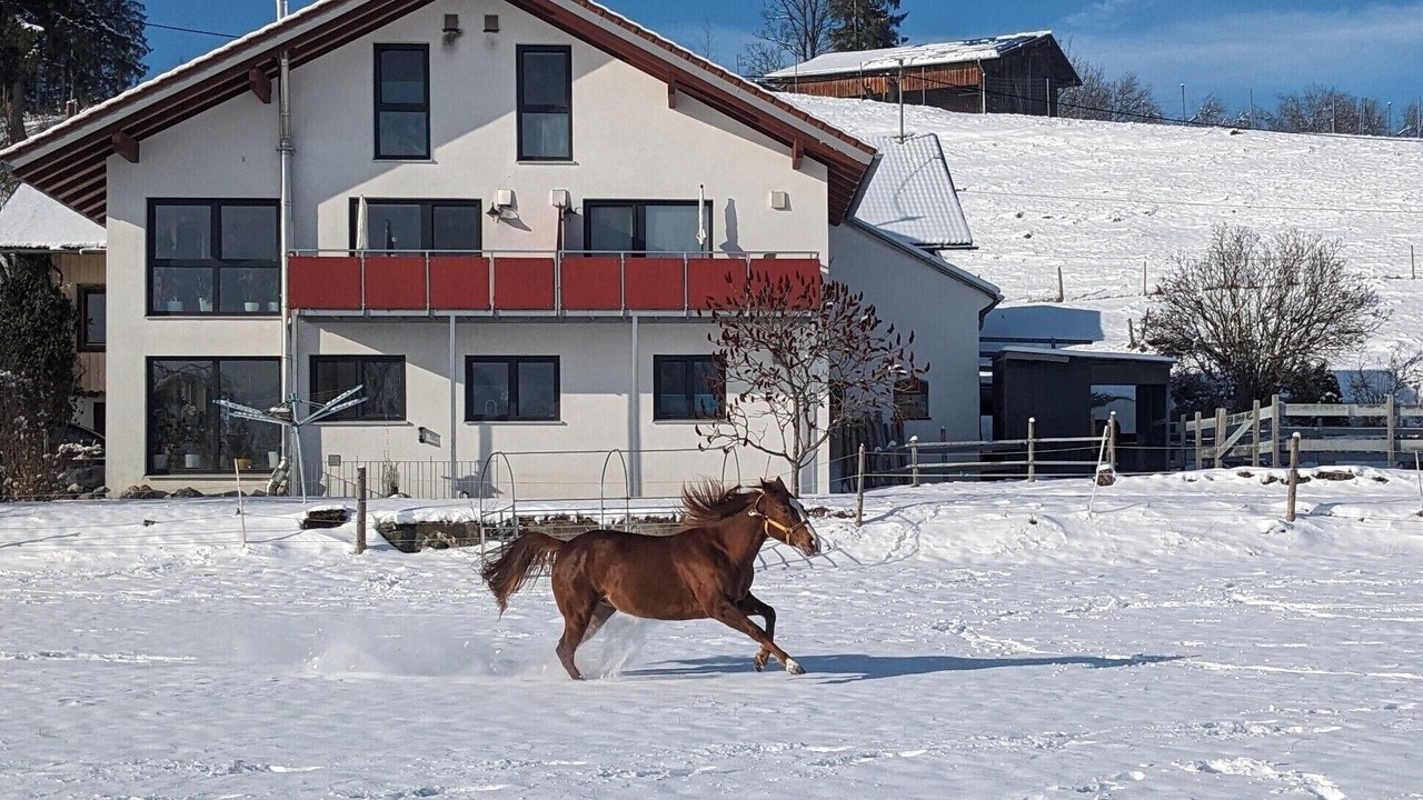 Photo of Outdoor in Waltenhofen