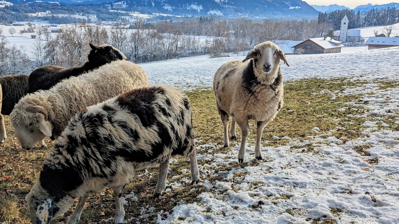 Photo of Others in Waltenhofen