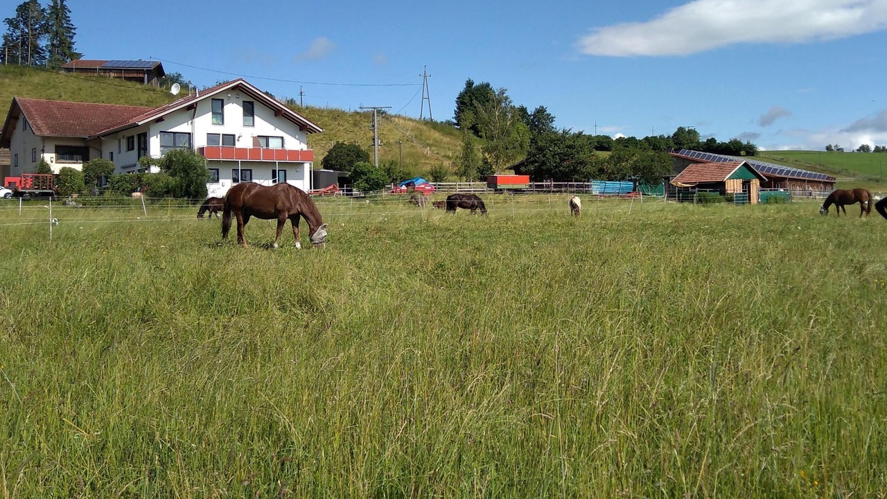 Photo of Others in Waltenhofen
