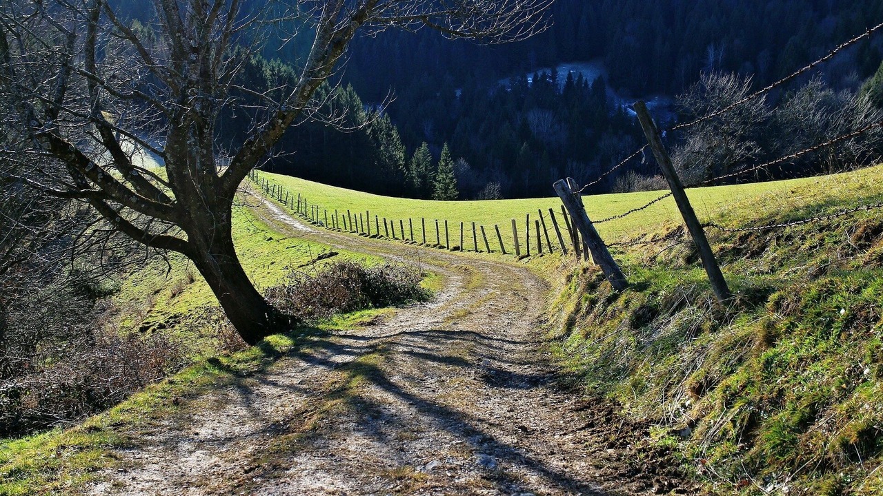 Photo of Others in Teisendorf