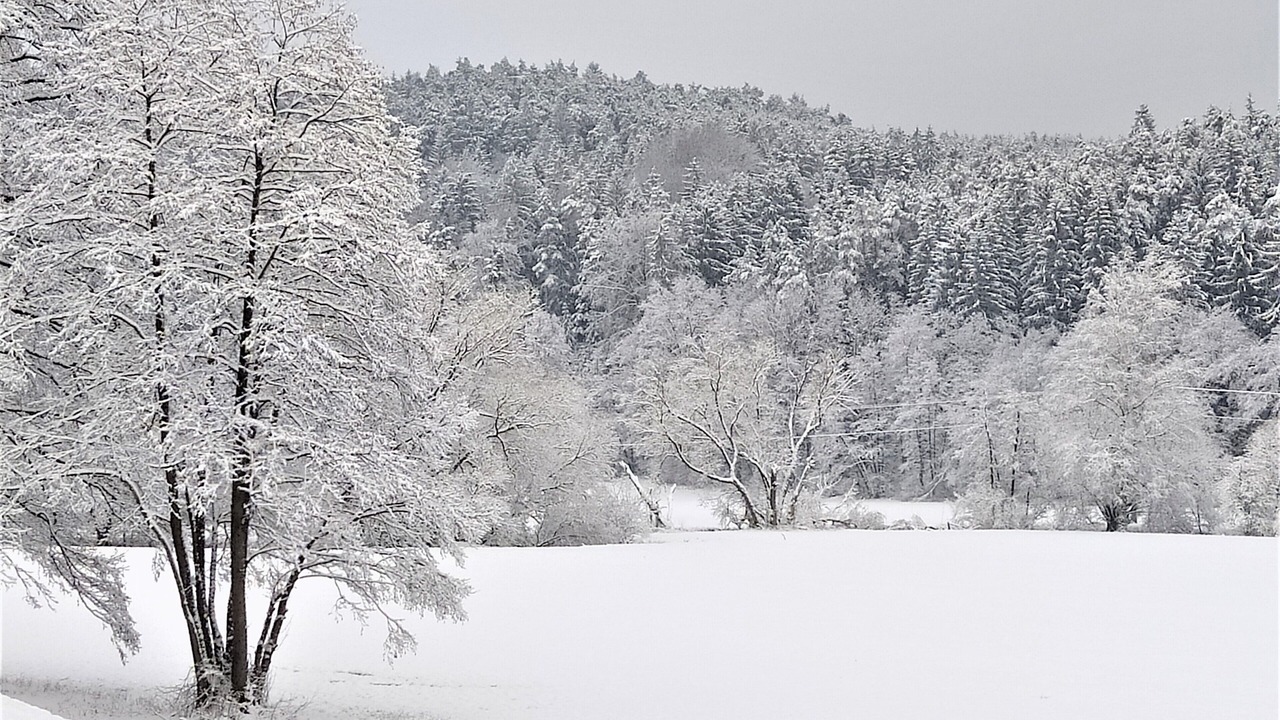 Photo of Outdoor in Mimberg