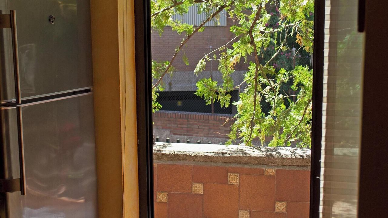 Photo of Livingroom in Nueva Espana