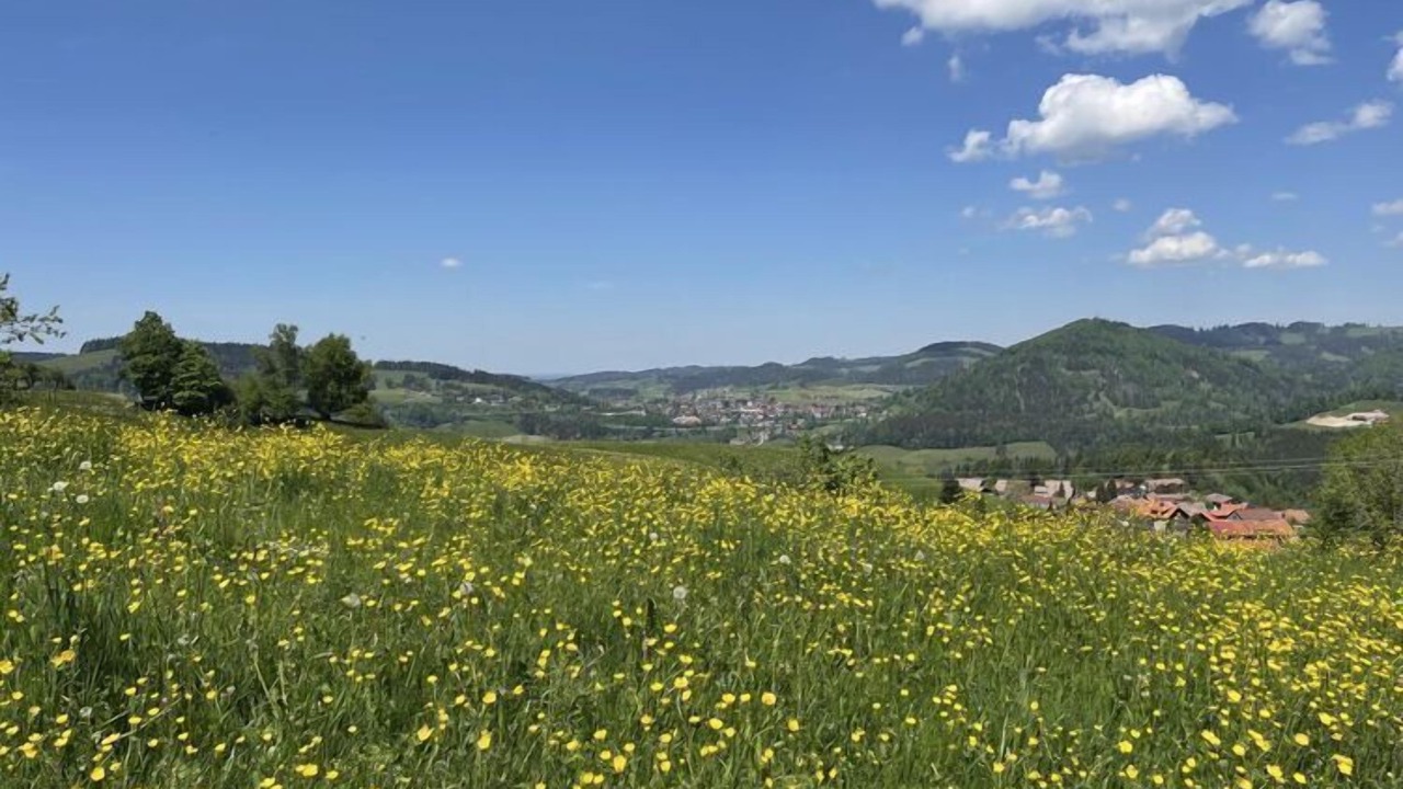 Photo of Outdoor in Steibis