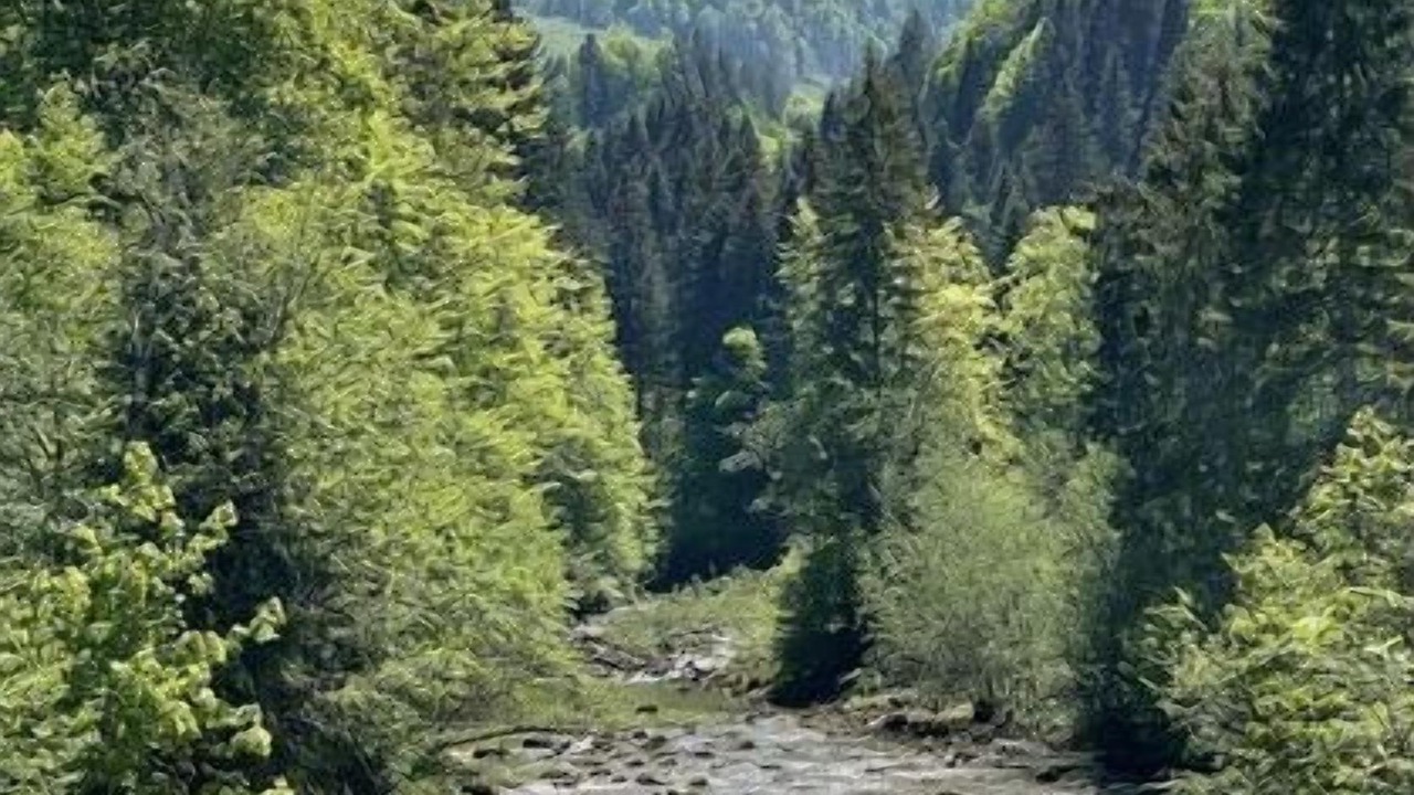 Photo of Outdoor in Steibis