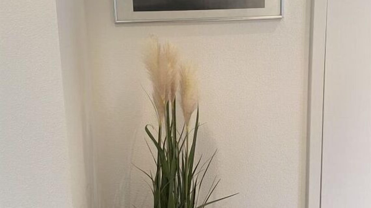 Photo of Others in Fuessen