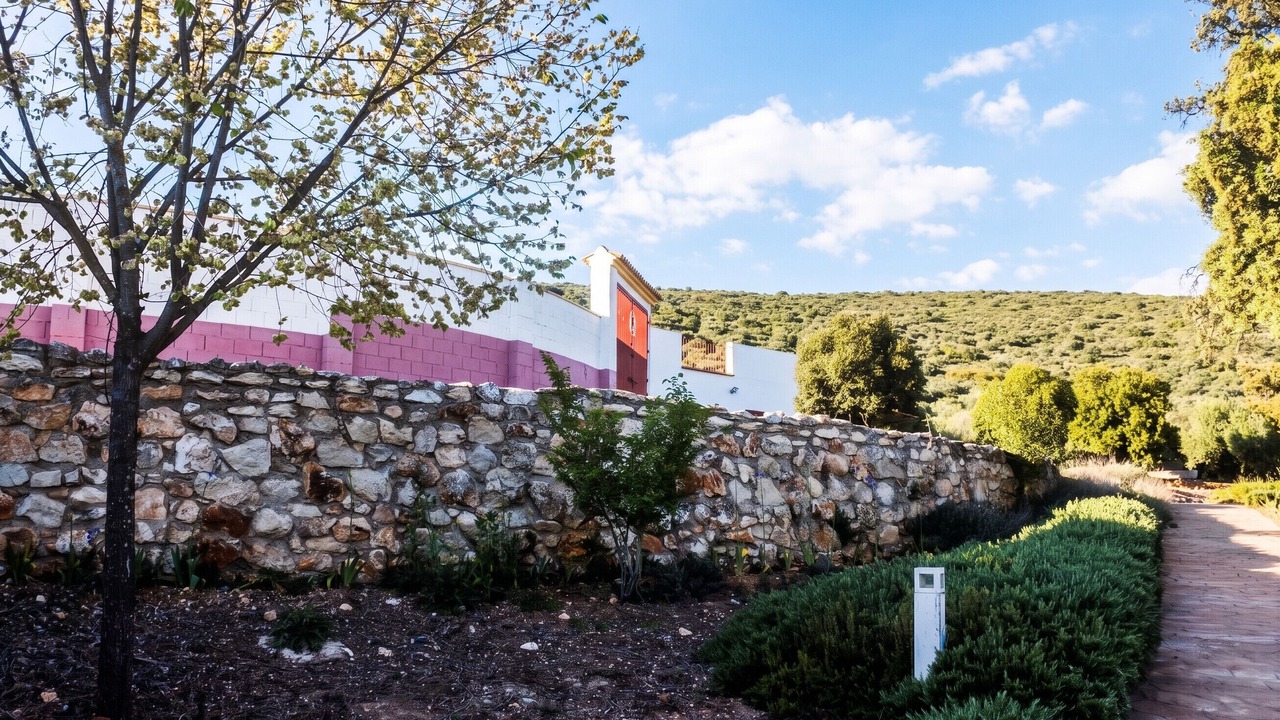 Photo of Outdoor in Estepa