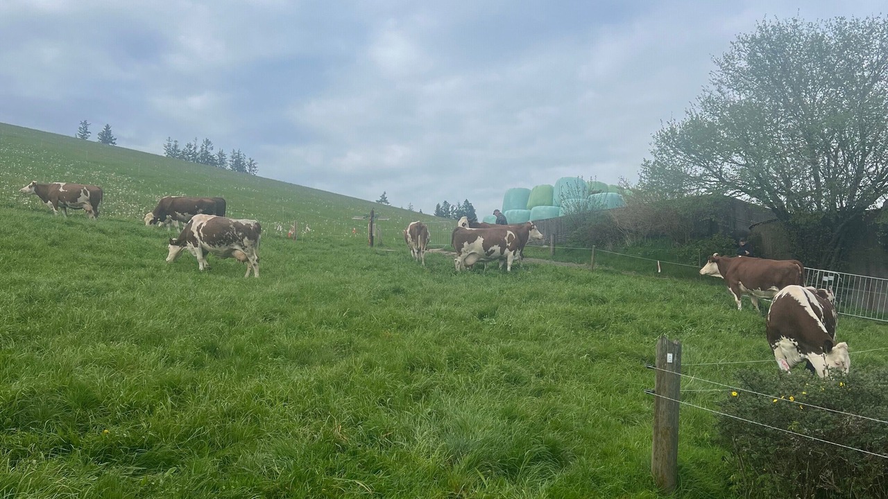 Photo of Others in Triberg im Schwarzwald