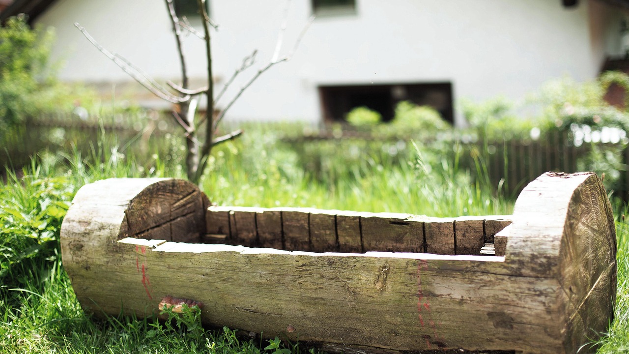 Photo of Outdoor in Schoellnach