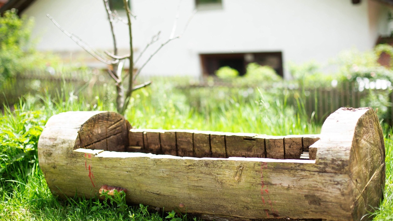 Photo of Outdoor in Schoellnach