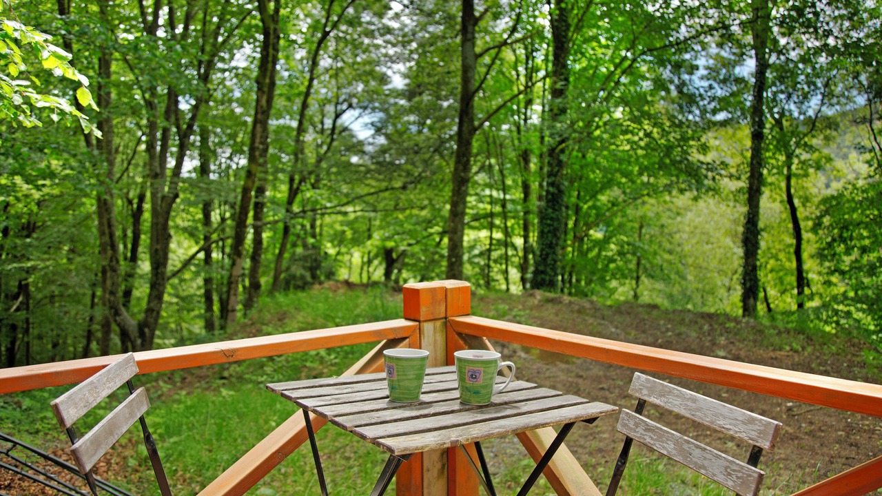 Photo of Outdoor in Schoellnach