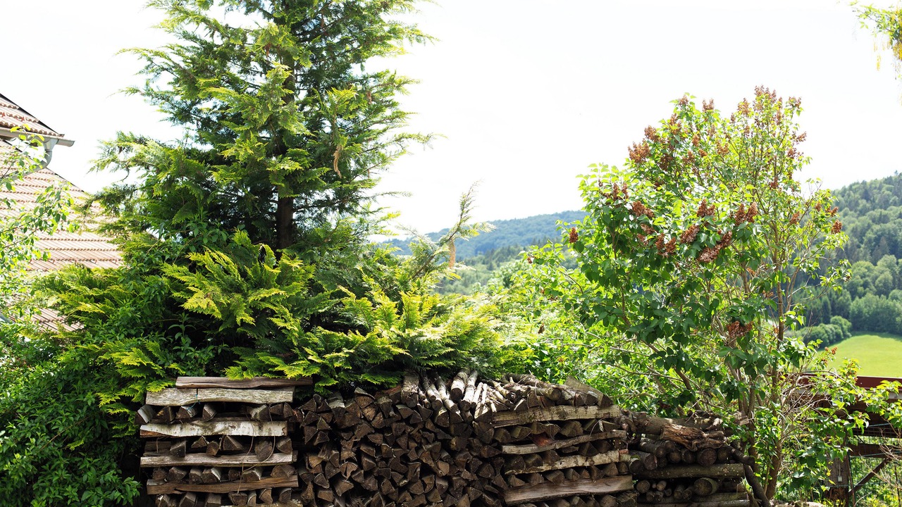 Photo of Outdoor in Schoellnach