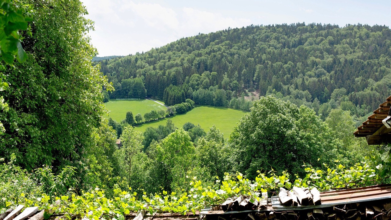 Photo of Others in Schoellnach