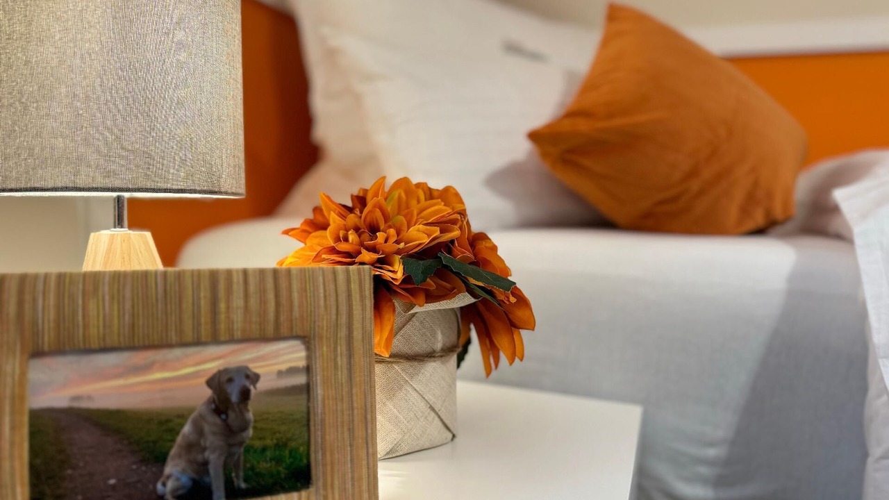 Photo of Bedroom in Zandt