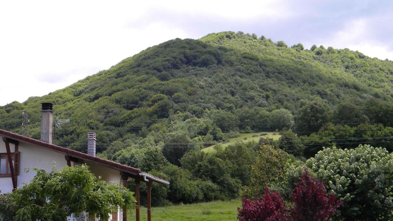 Photo of Outdoor in Ultzama