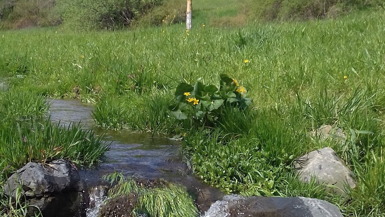 Photo of Outdoor in Altusried