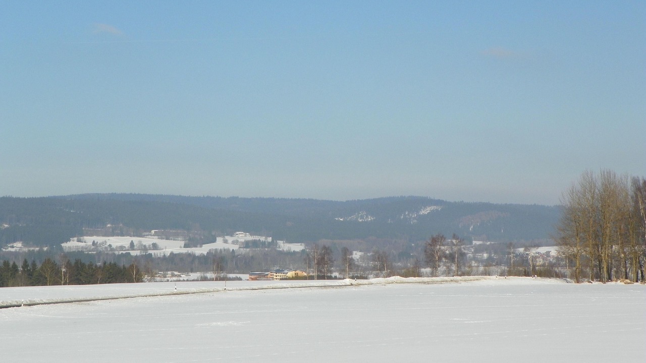 Photo of Others in Schonlind