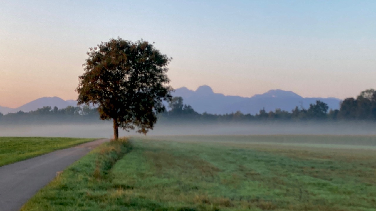 Photo of Others in Bad Aibling