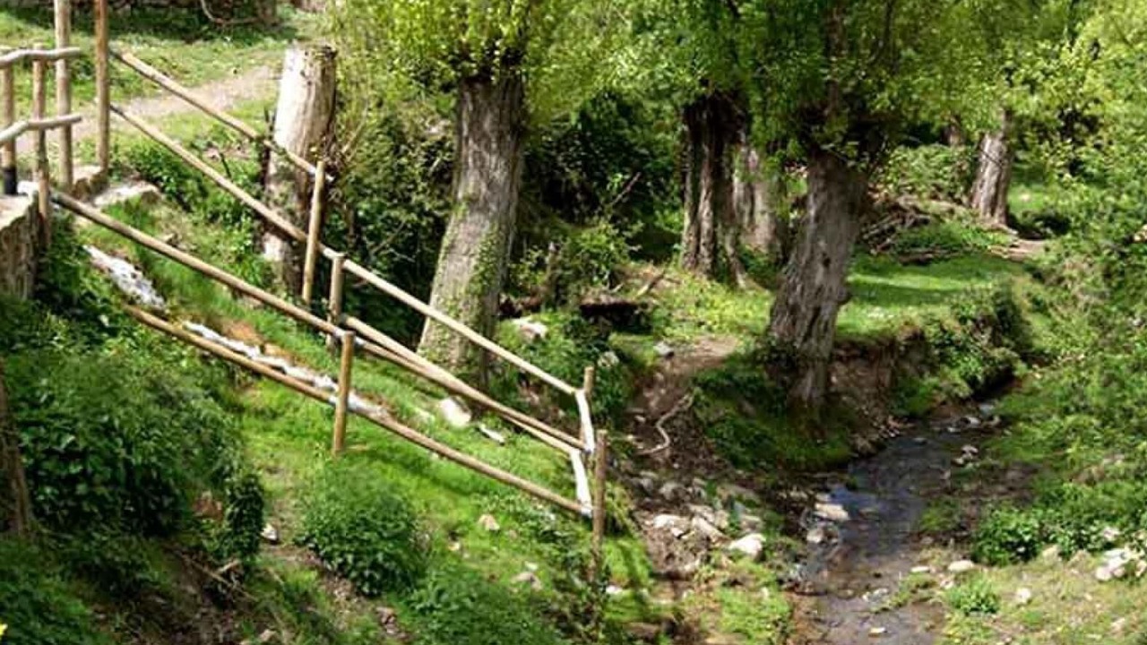 Photo of Outdoor in San Roman de Cameros