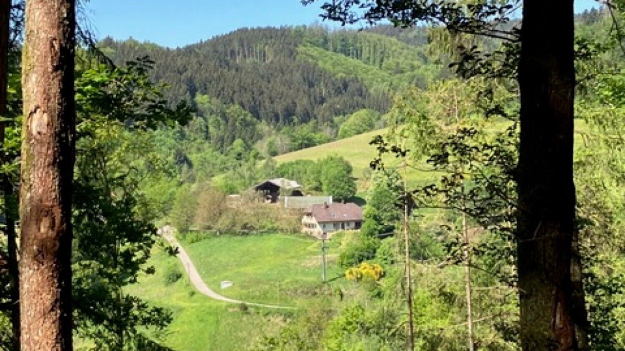 Photo of Others in Biederbach