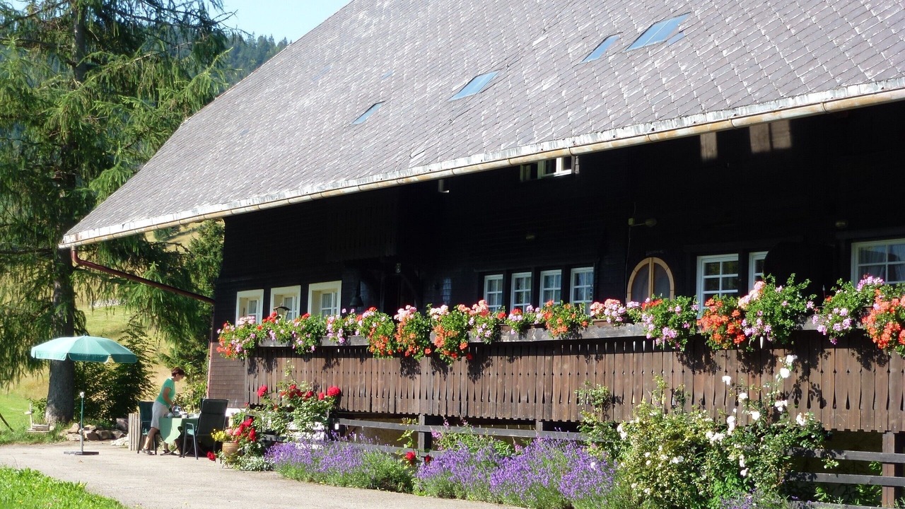 Photo of Outdoor in St. Blasien