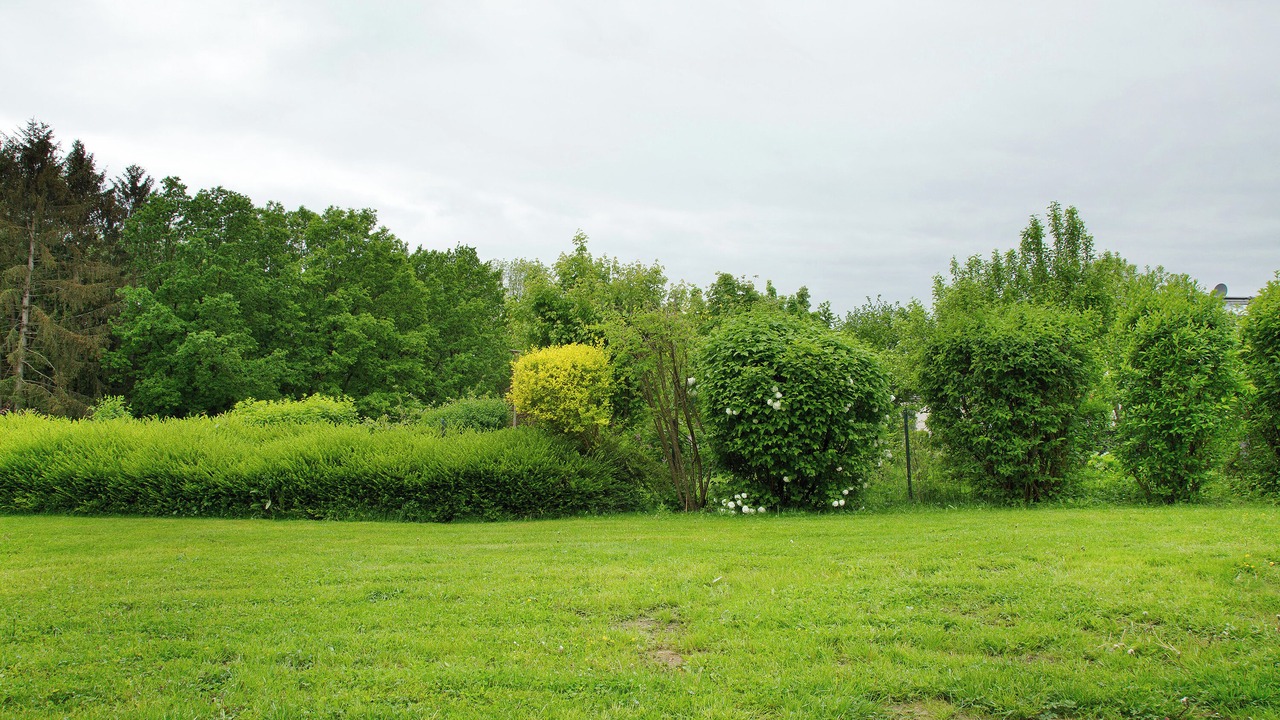 Photo of Outdoor in Passau