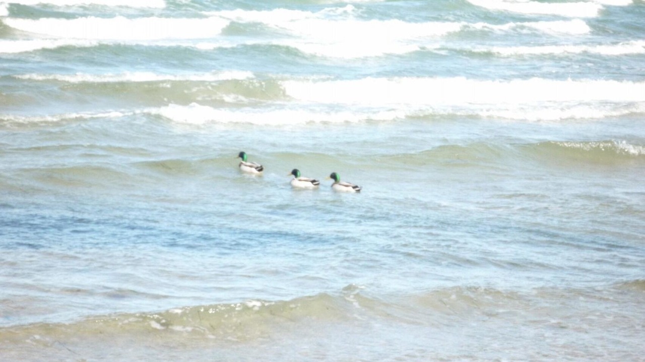 Photo of Others in Redewisch