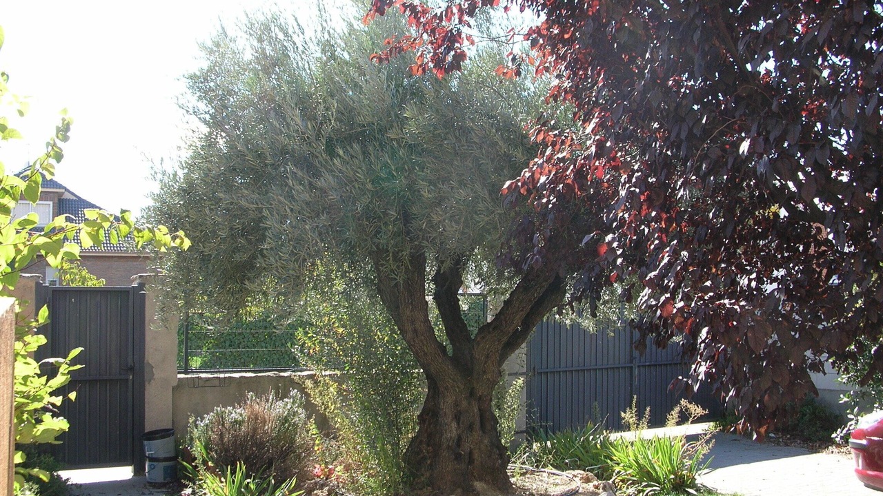 Photo of Outdoor in Collado Mediano