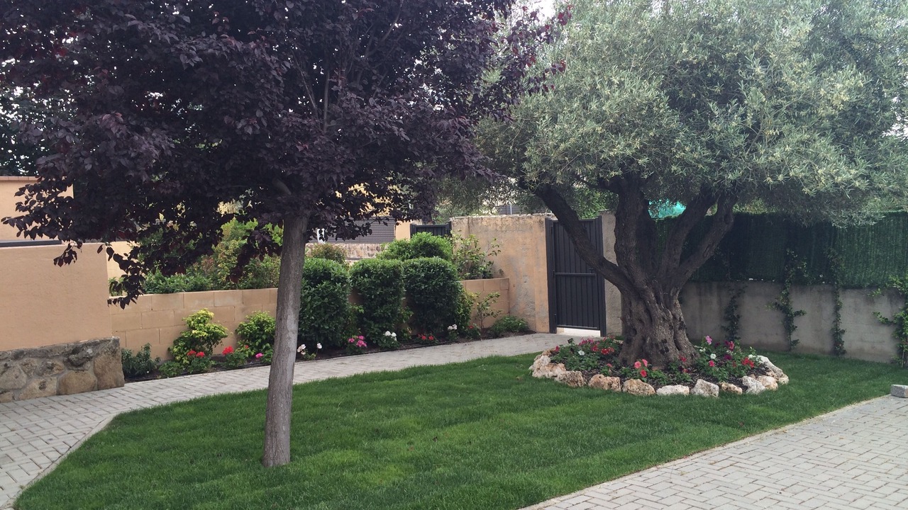 Photo of Outdoor in Collado Mediano