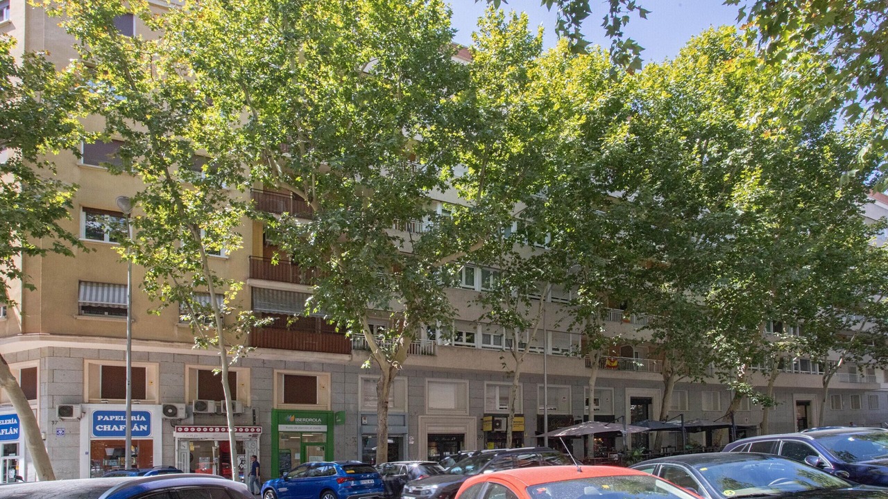 Photo of Outdoor in Nueva Espana