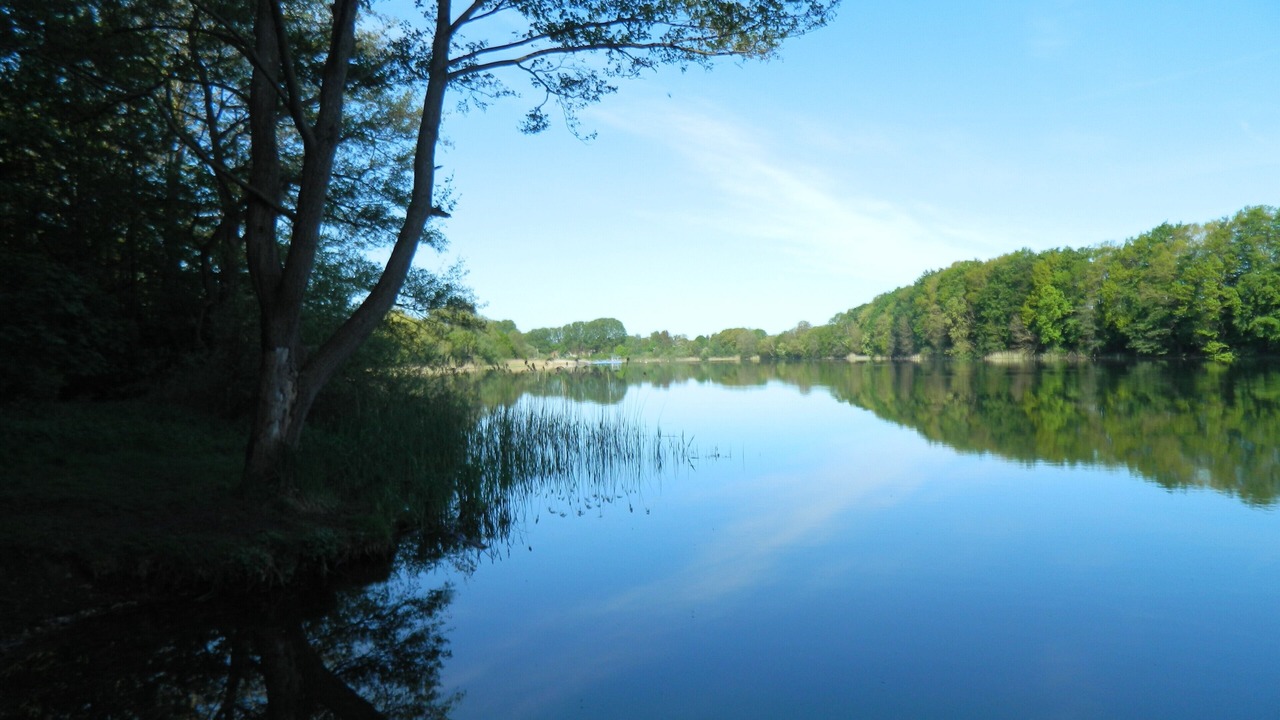 Photo of Others in Grevesmuehlen
