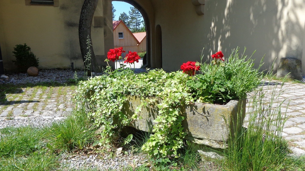 Photo of Outdoor in Markt Nordheim