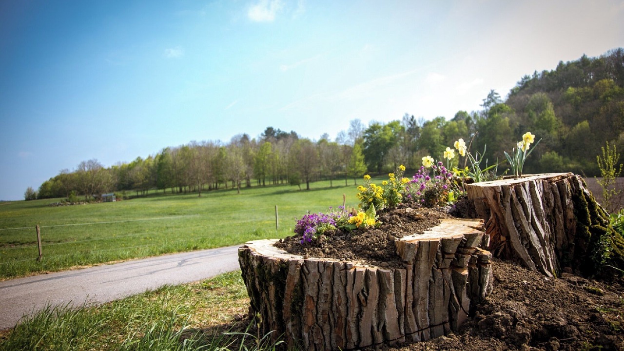 Photo of Outdoor in Markt Nordheim