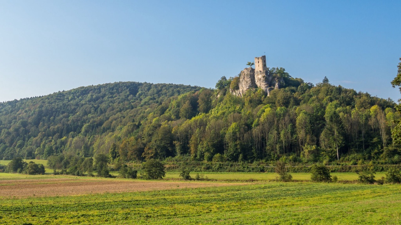 Photo of Others in Mistelgau