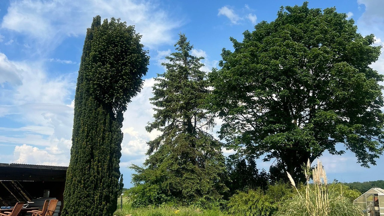 Photo of Outdoor in Brockenscheidt
