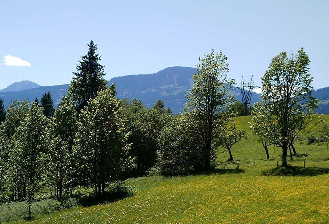 Photo of Others in Sankt Johann in Tirol