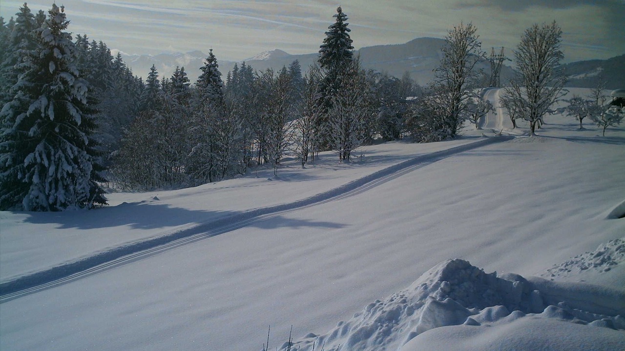 Photo of Others in Sankt Johann in Tirol