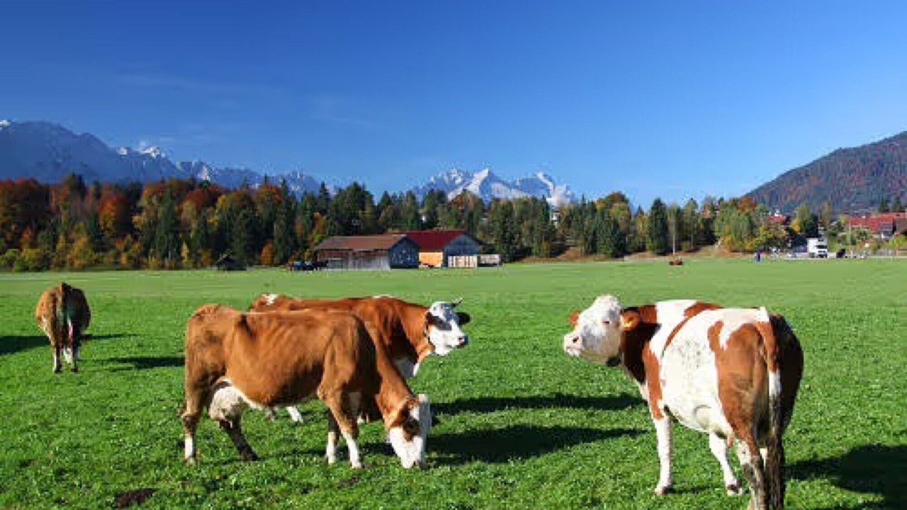 Photo of Others in Kruen