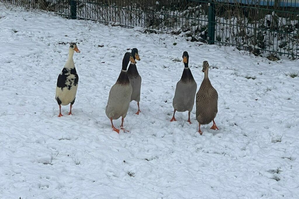 Photo of Others in Himmelkron