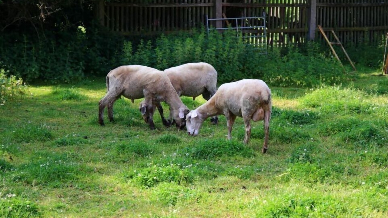 Photo of Outdoor in Himmelkron