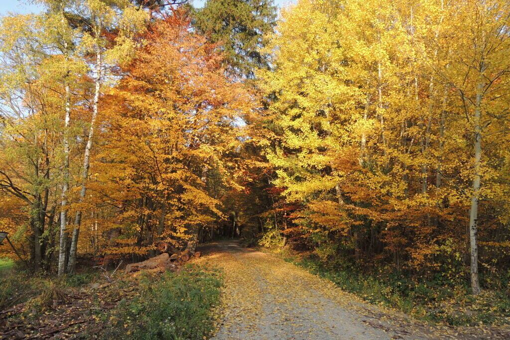 Photo of Outdoor in Steinbach