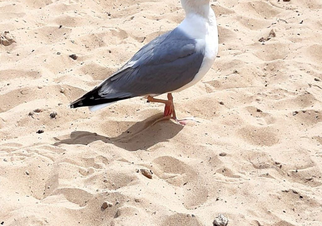 Photo of Others in Zinnowitz