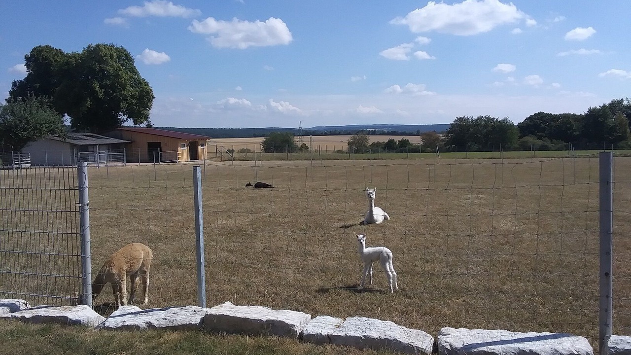 Photo of Outdoor in Dietfurt