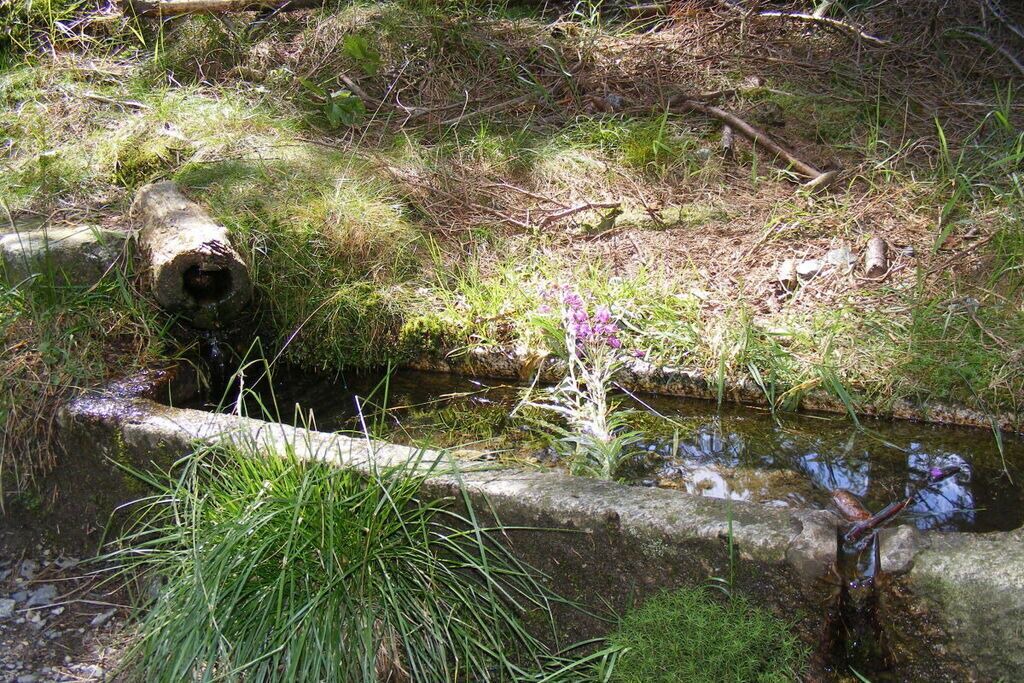 Photo of Bathroom in Philippsreut