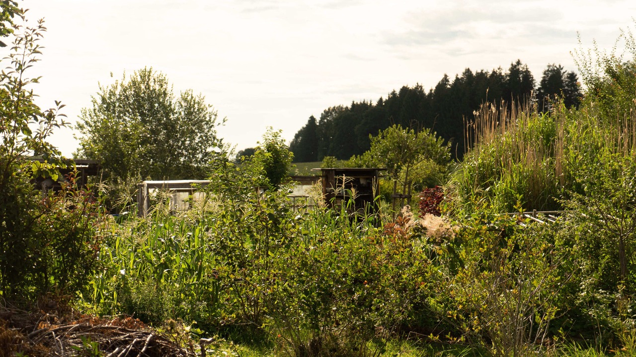 Photo of Outdoor in Amerang