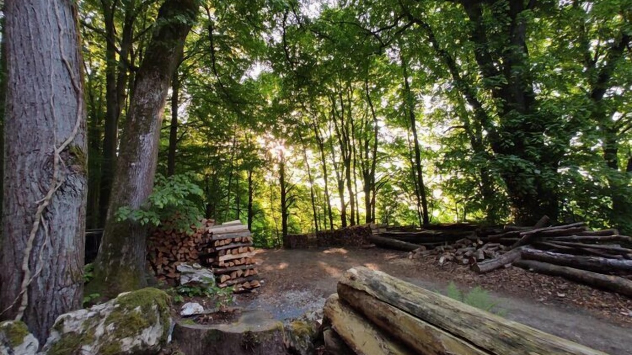 Photo of Outdoor in Schesslitz