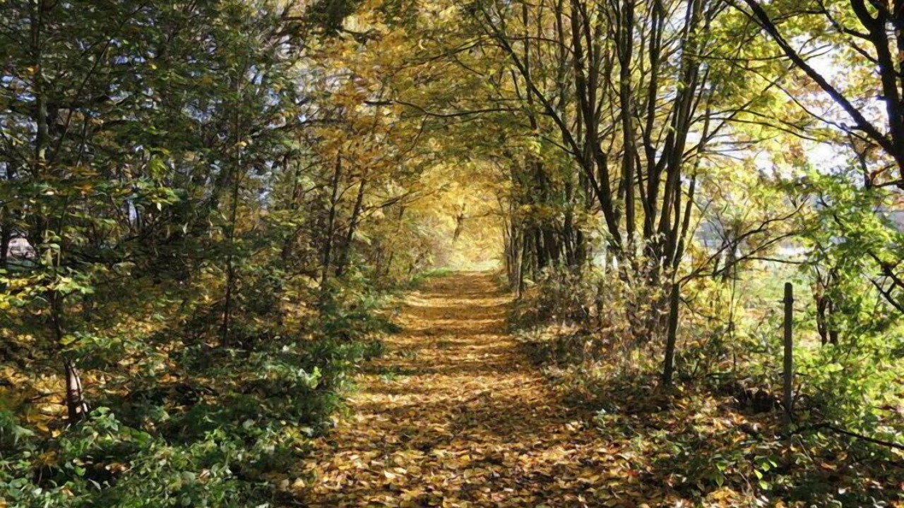 Photo of Outdoor in Steinbach