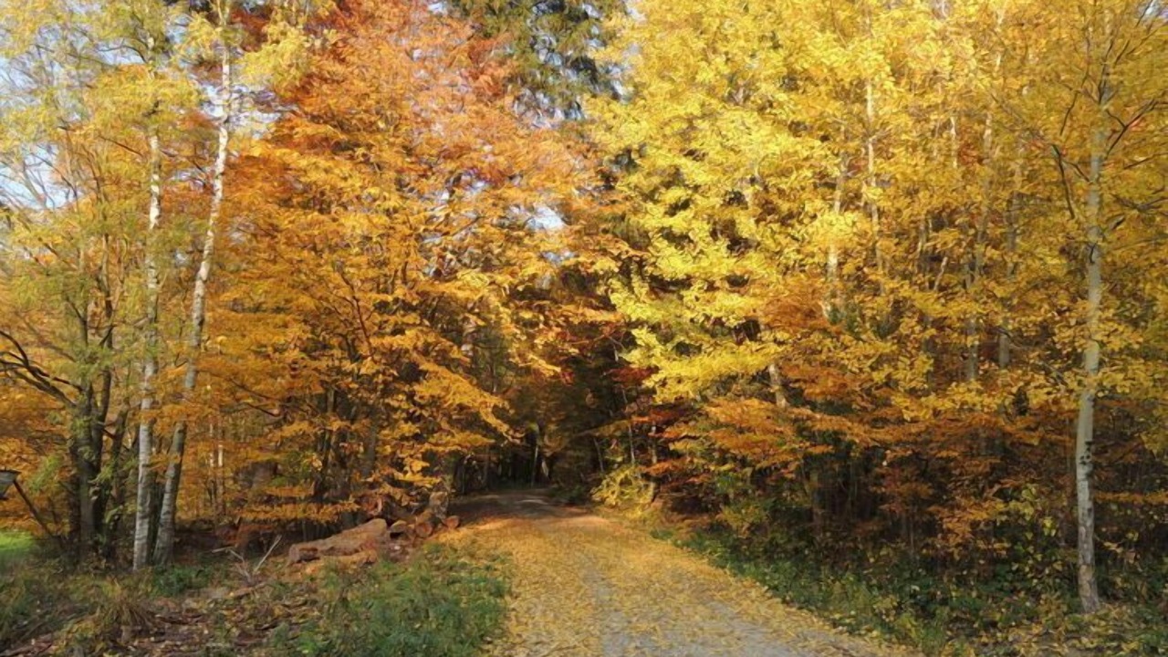 Photo of Outdoor in Steinbach