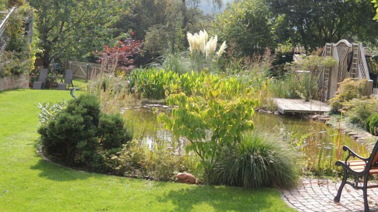 Photo of Outdoor in Steinbach