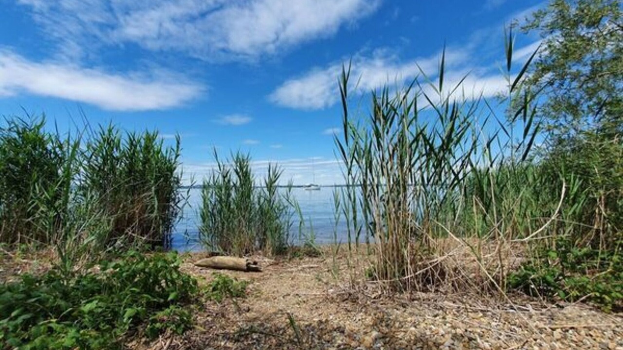 Photo of Others in Uebersee