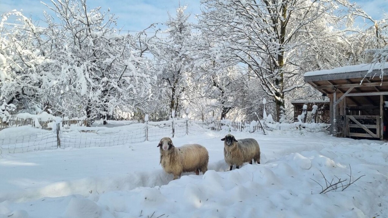 Photo of Outdoor in Uebersee